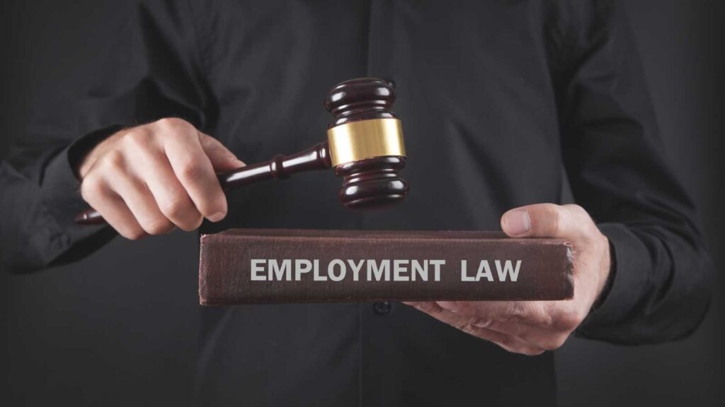  Person holding a gavel and an Employment Law book.